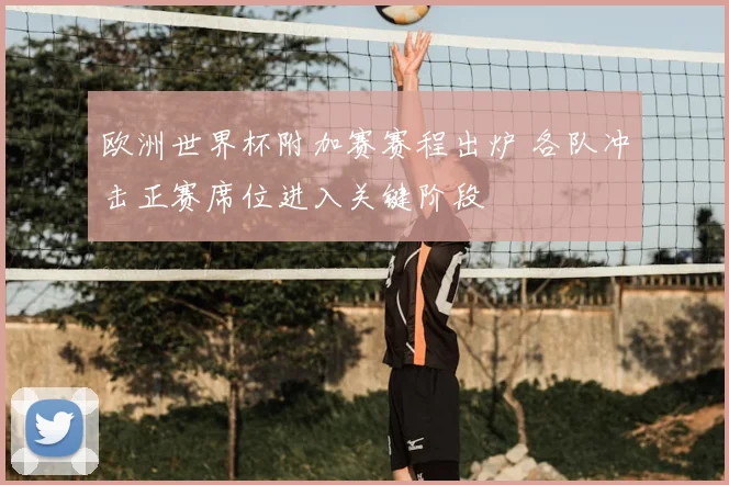 欧洲世界杯附加赛赛程出炉 各队冲击正赛席位进入关键阶段