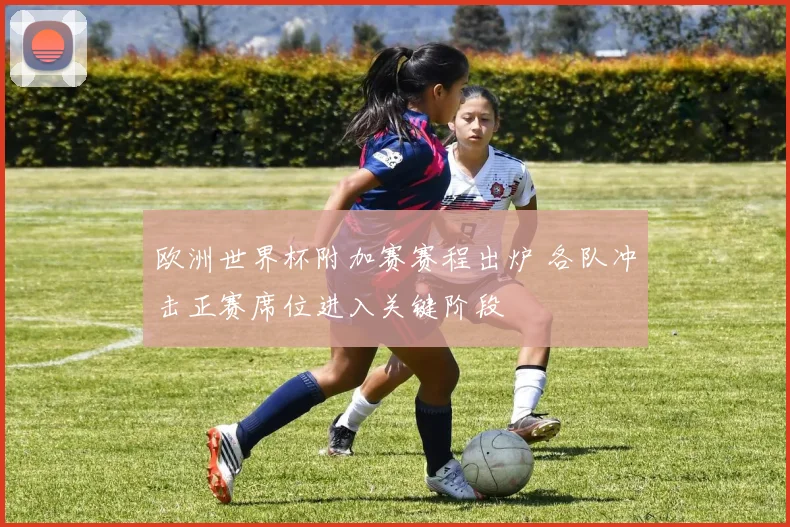 欧洲世界杯附加赛赛程出炉 各队冲击正赛席位进入关键阶段