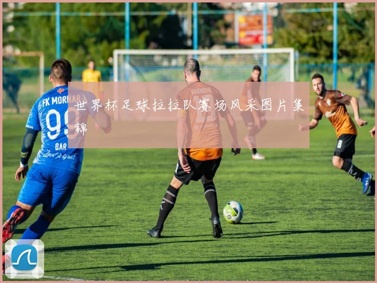 世界杯足球拉拉队赛场风采图片集锦