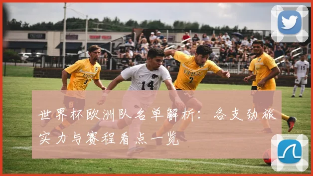 世界杯欧洲队名单解析：各支劲旅实力与赛程看点一览