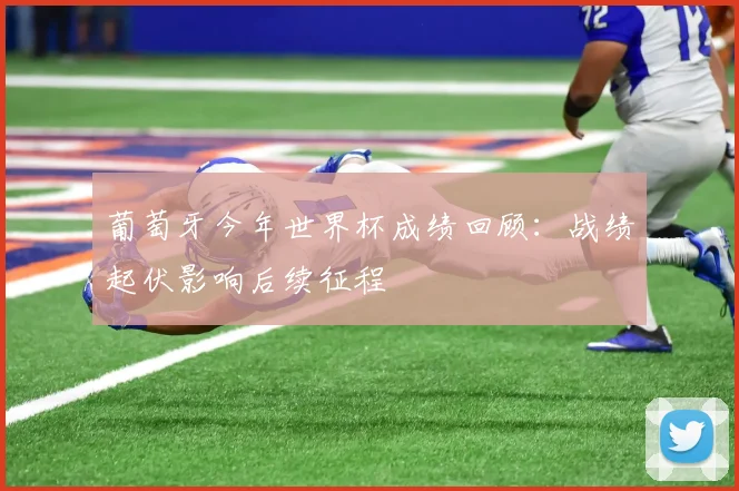 葡萄牙今年世界杯成绩回顾：战绩起伏影响后续征程