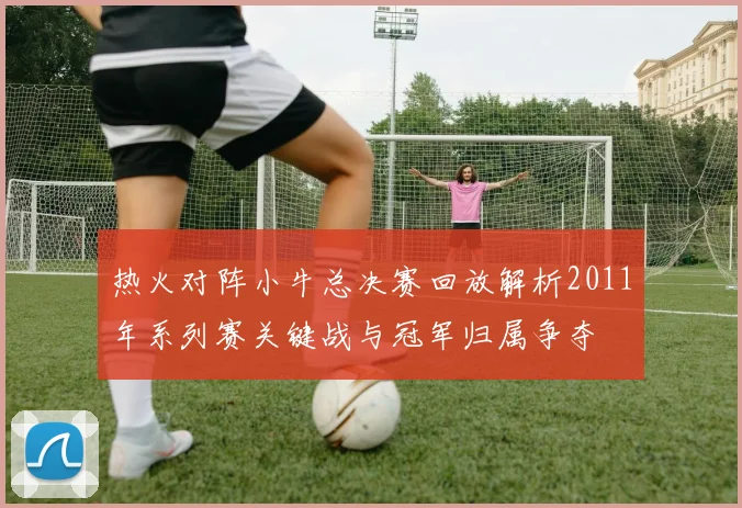 热火对阵小牛总决赛回放解析2011年系列赛关键战与冠军归属争夺