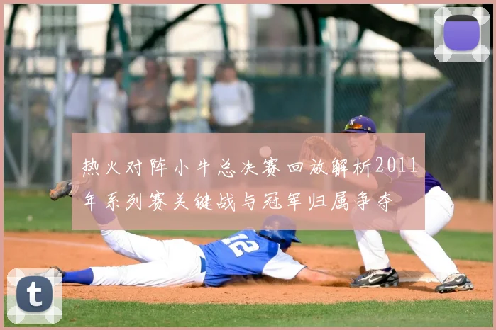 热火对阵小牛总决赛回放解析2011年系列赛关键战与冠军归属争夺