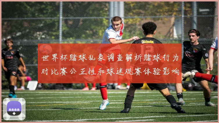 世界杯赌球乱象调查解析赌球行为对比赛公正性和球迷观赛体验影响