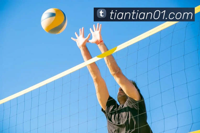 完美体育在线登录入口发展历程